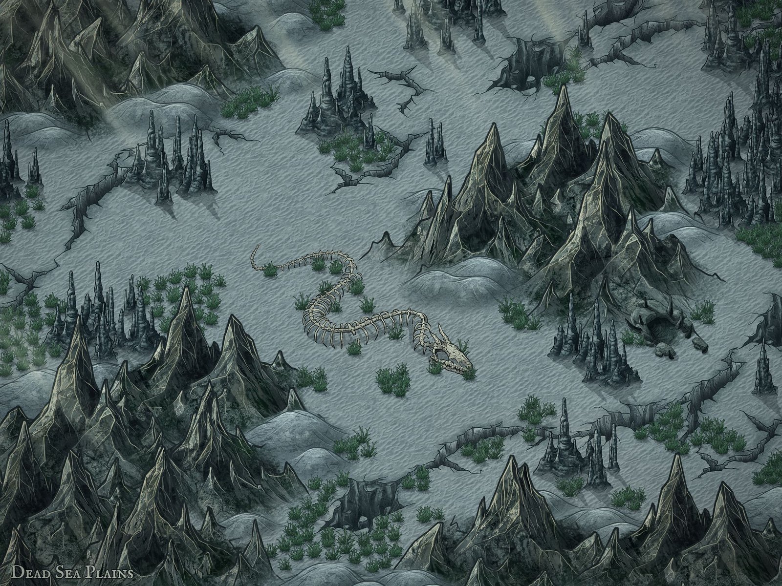 Dead Sea Plains