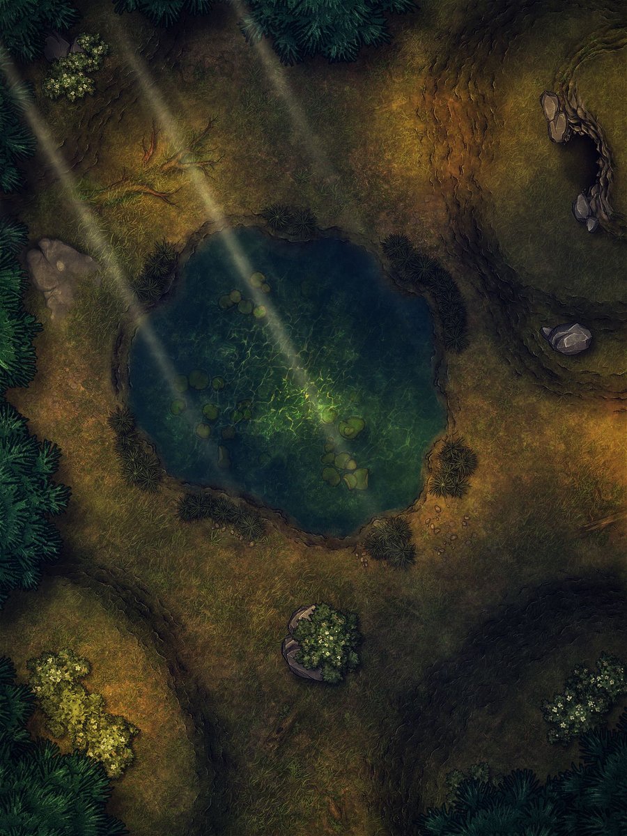 Forest Clearing