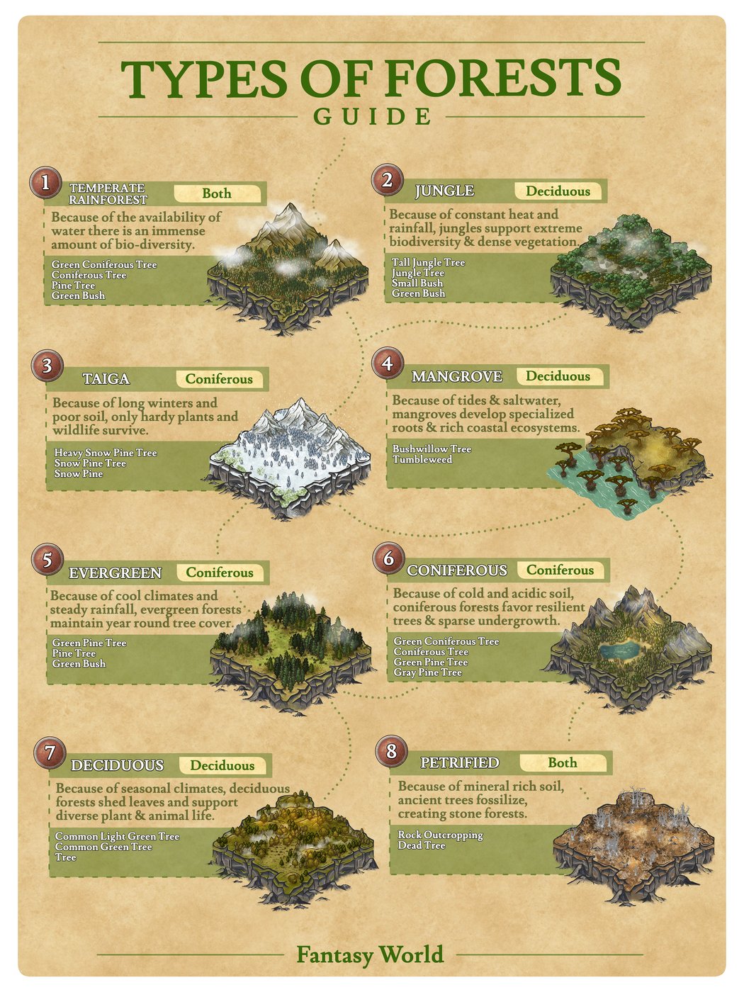 Types of Forests Guide