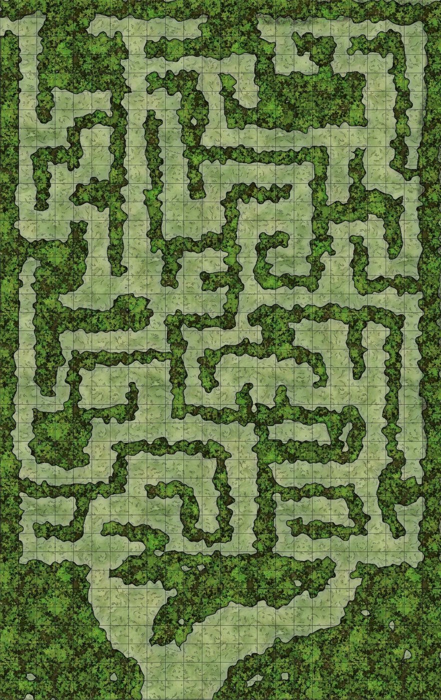 Maze Forest complex 