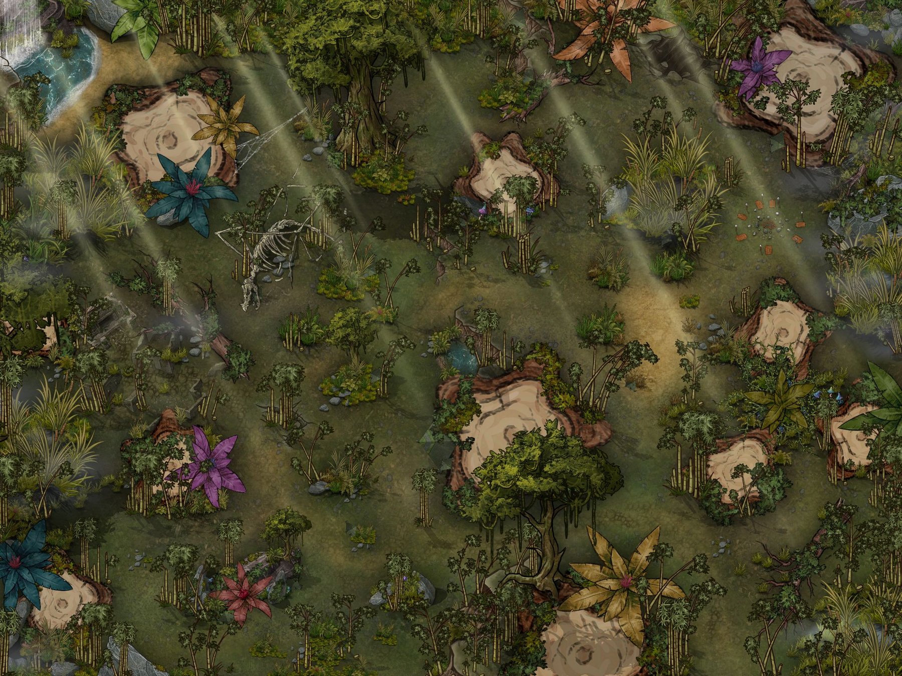 Jungle Forest Map