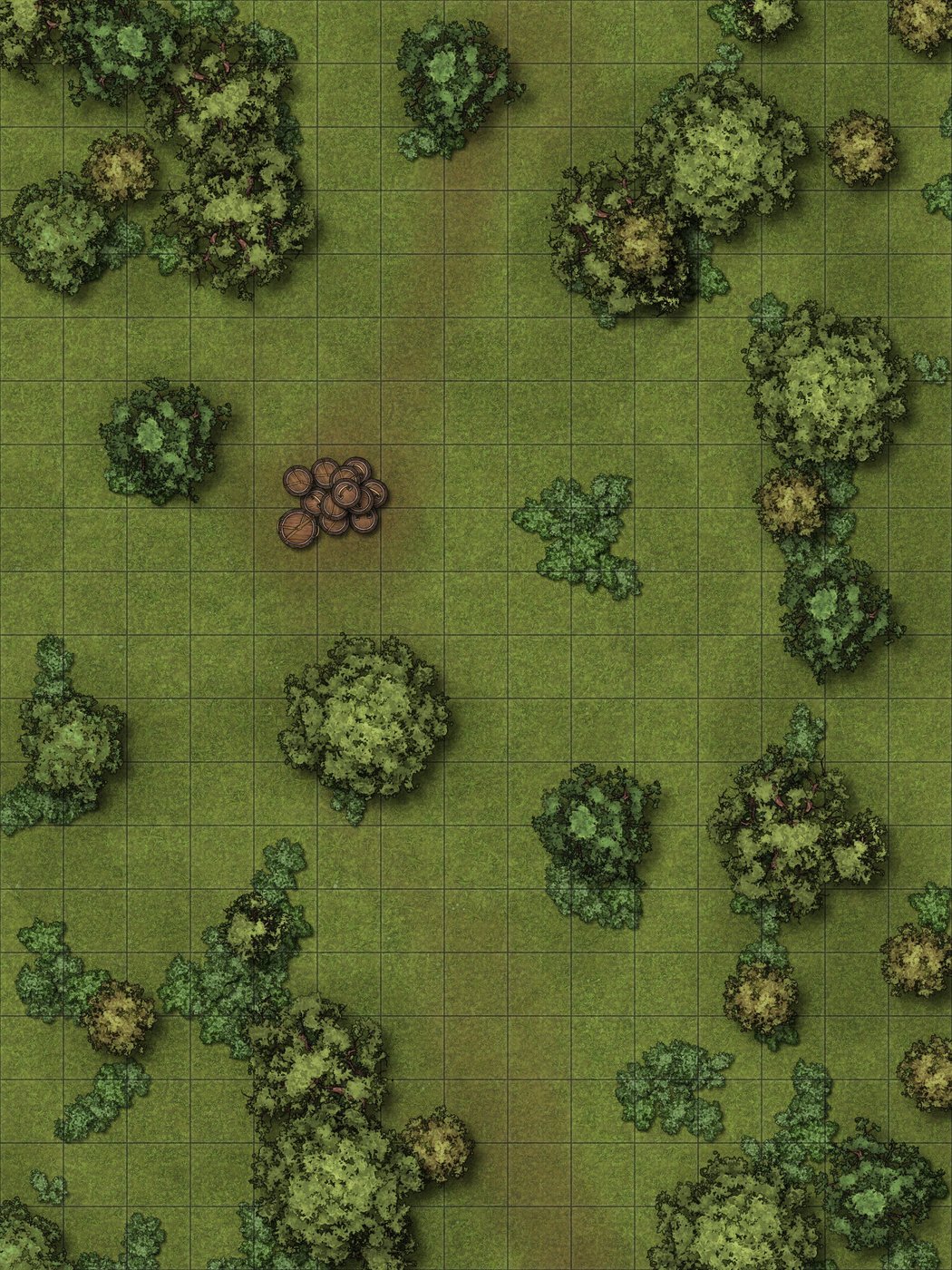 Mascalar Valley clearing