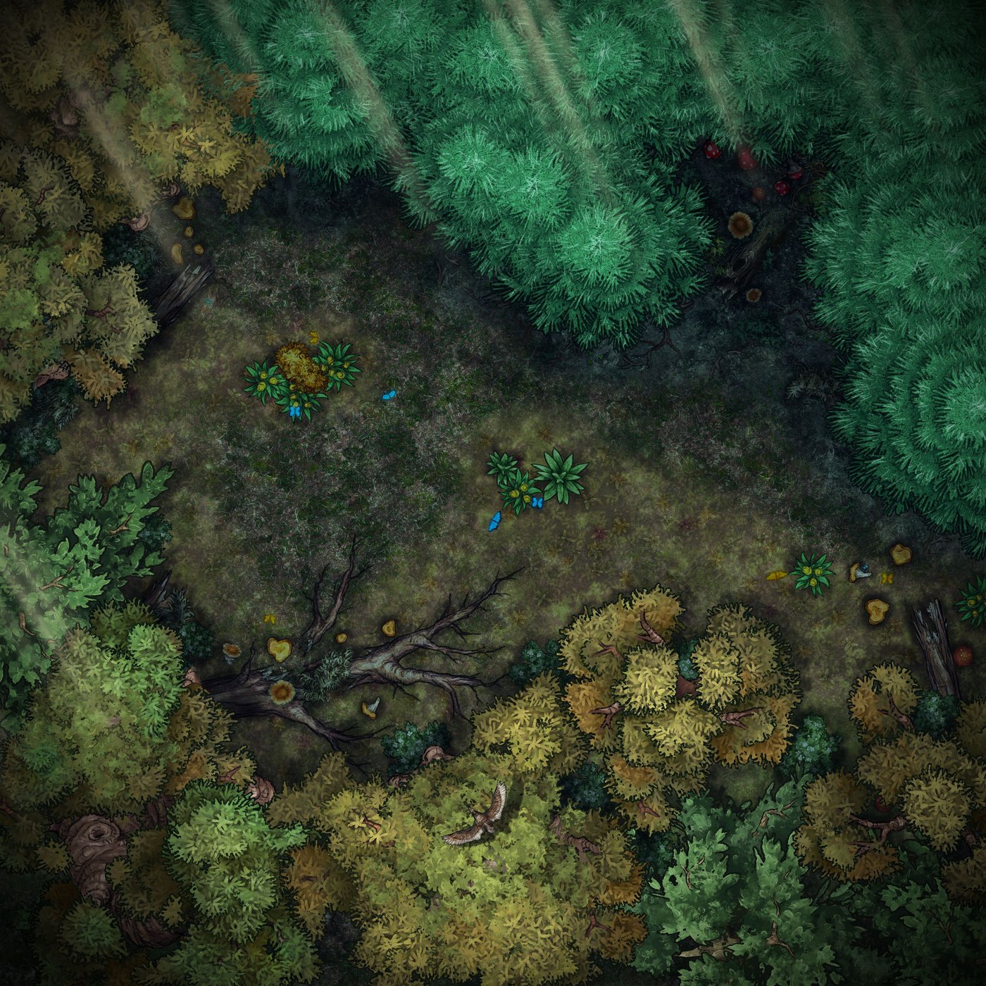 Mixed Forest Glade 01