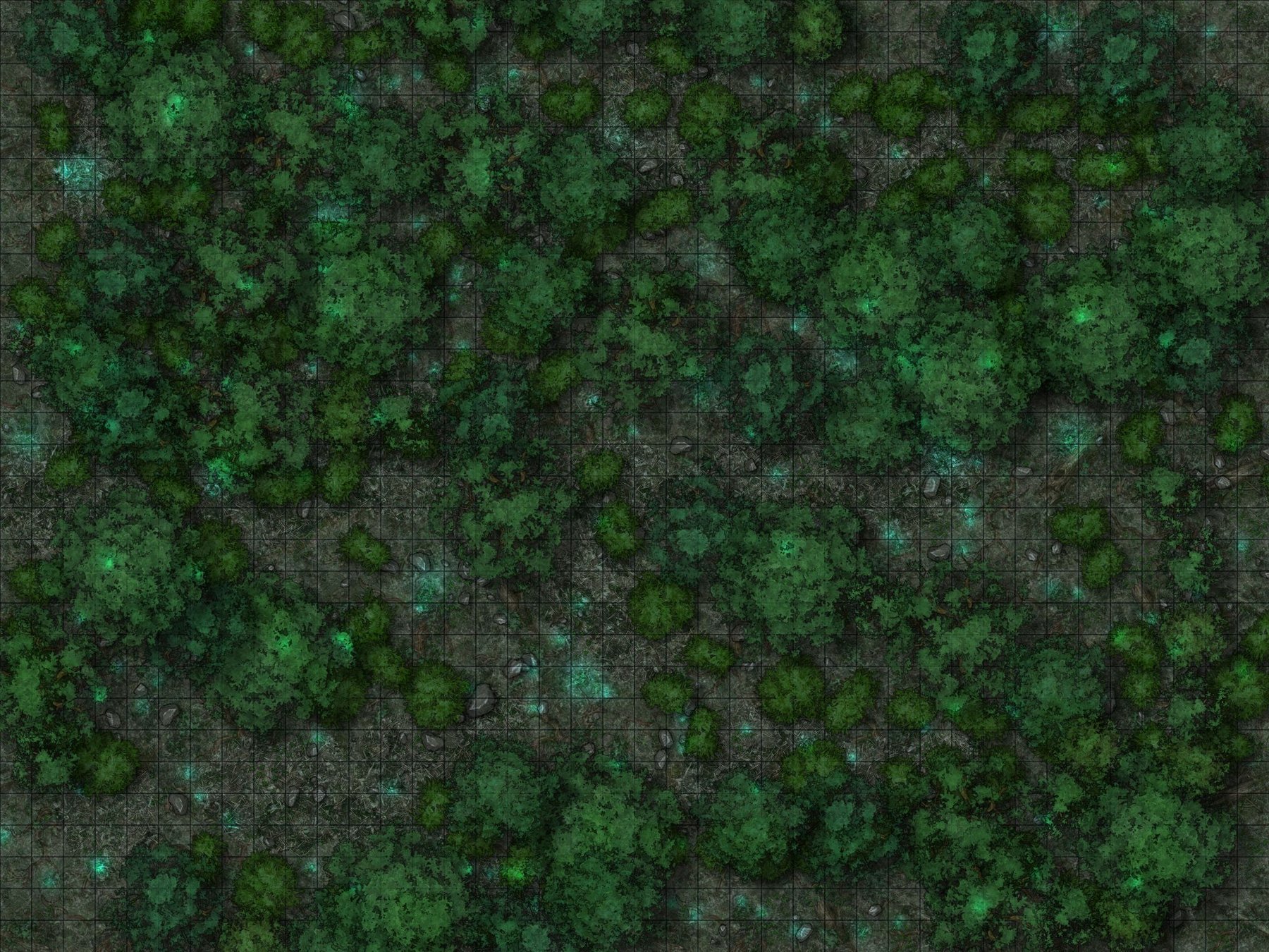 Shuimu Forest at night