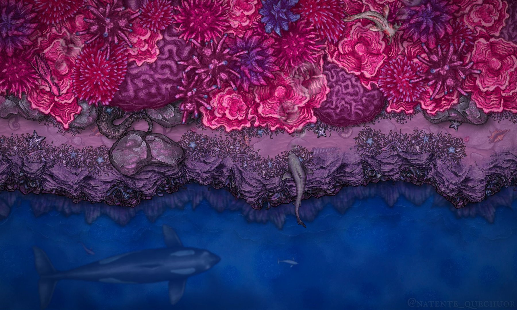 Bisexual - Coral Reef