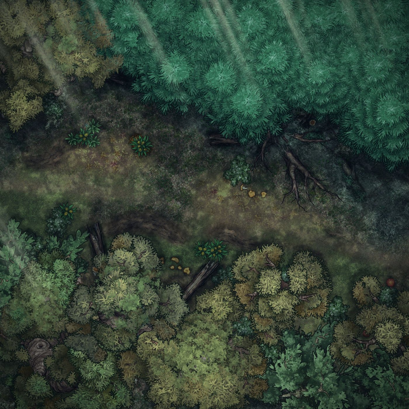 Mixed Forest Path 01