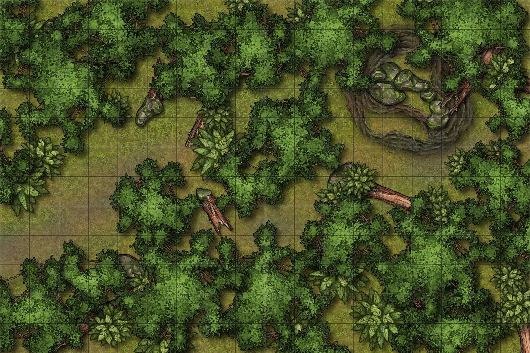 Omelga Hunt grounds - Forest