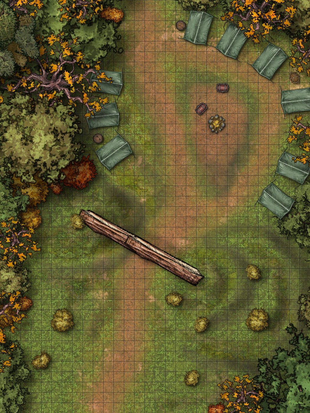 Camp in the Woods