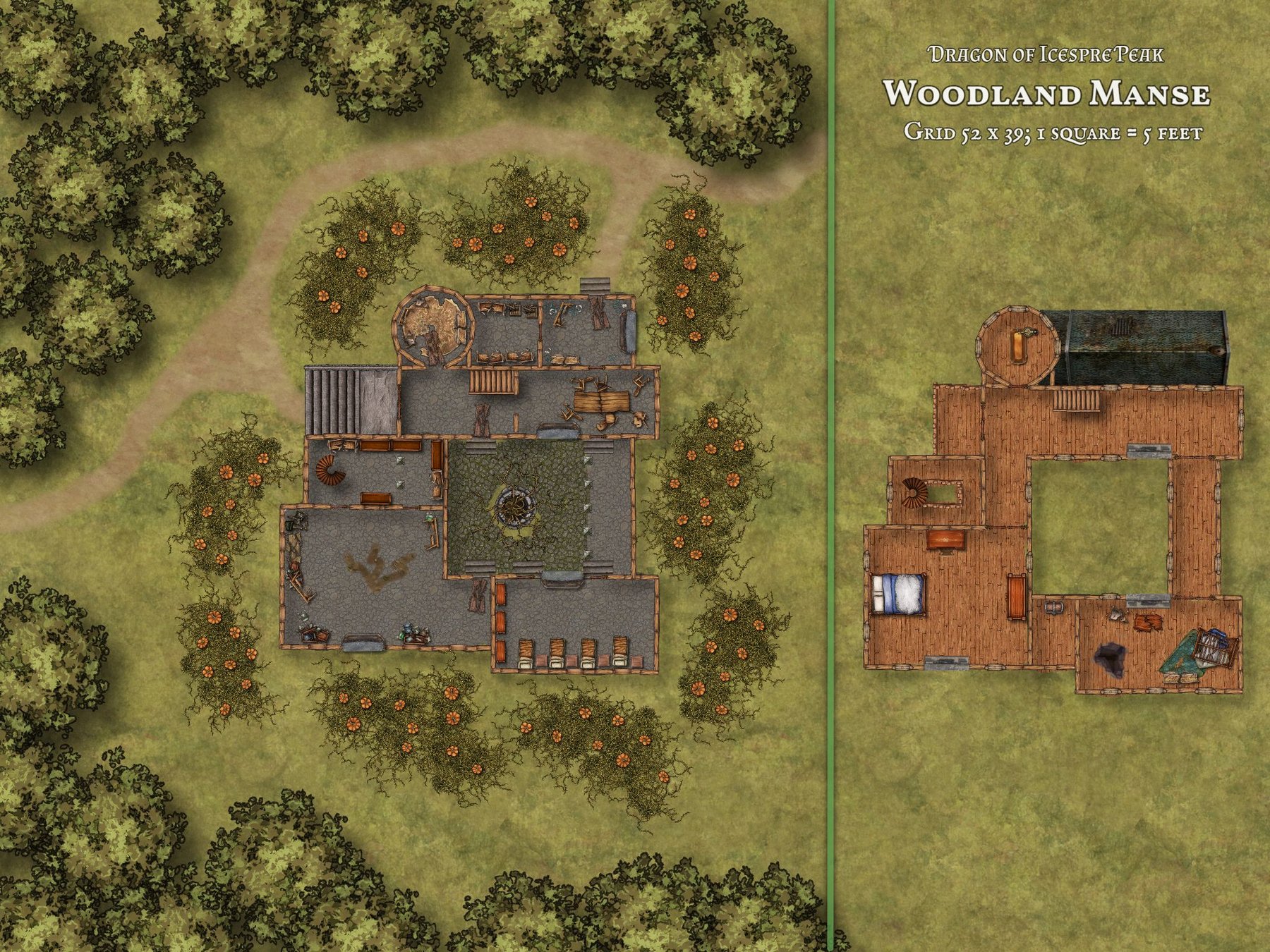 Woodland Manse_Dragon of Icespire Peak