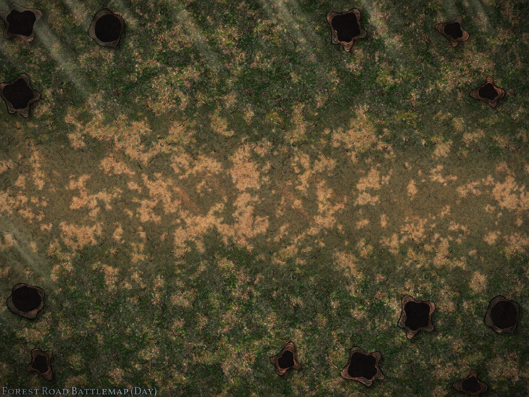 Forest Road Battlemap (Day)
