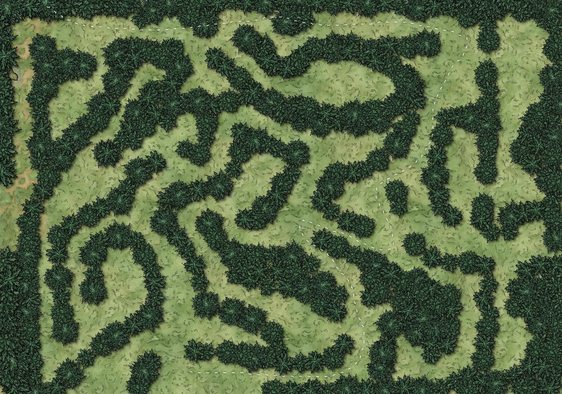 Maze Forest simple