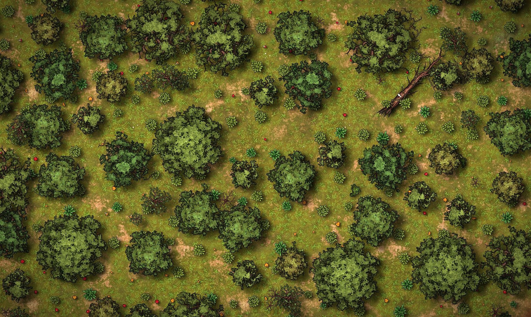 Forest v1