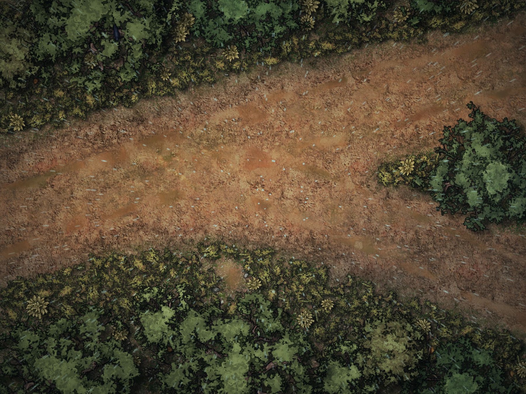 Muddy forest road in the rain