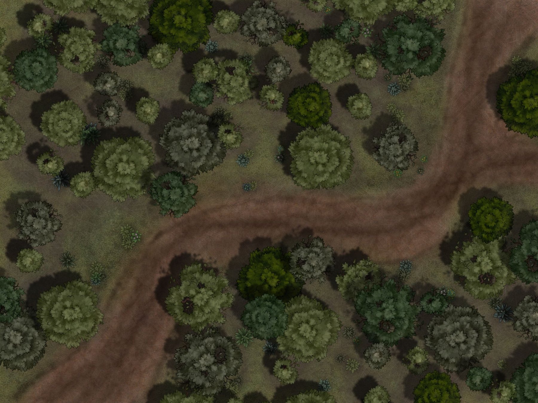 Forest Path Fork- Day