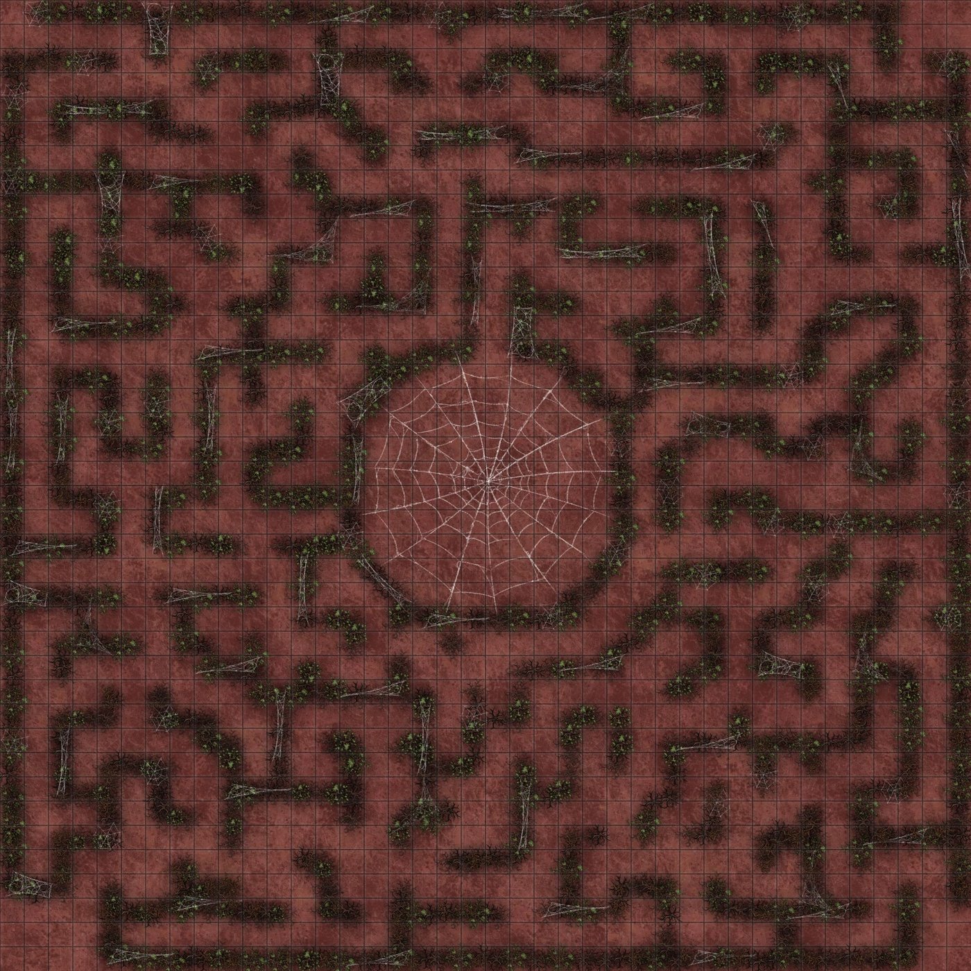 Spider Maze